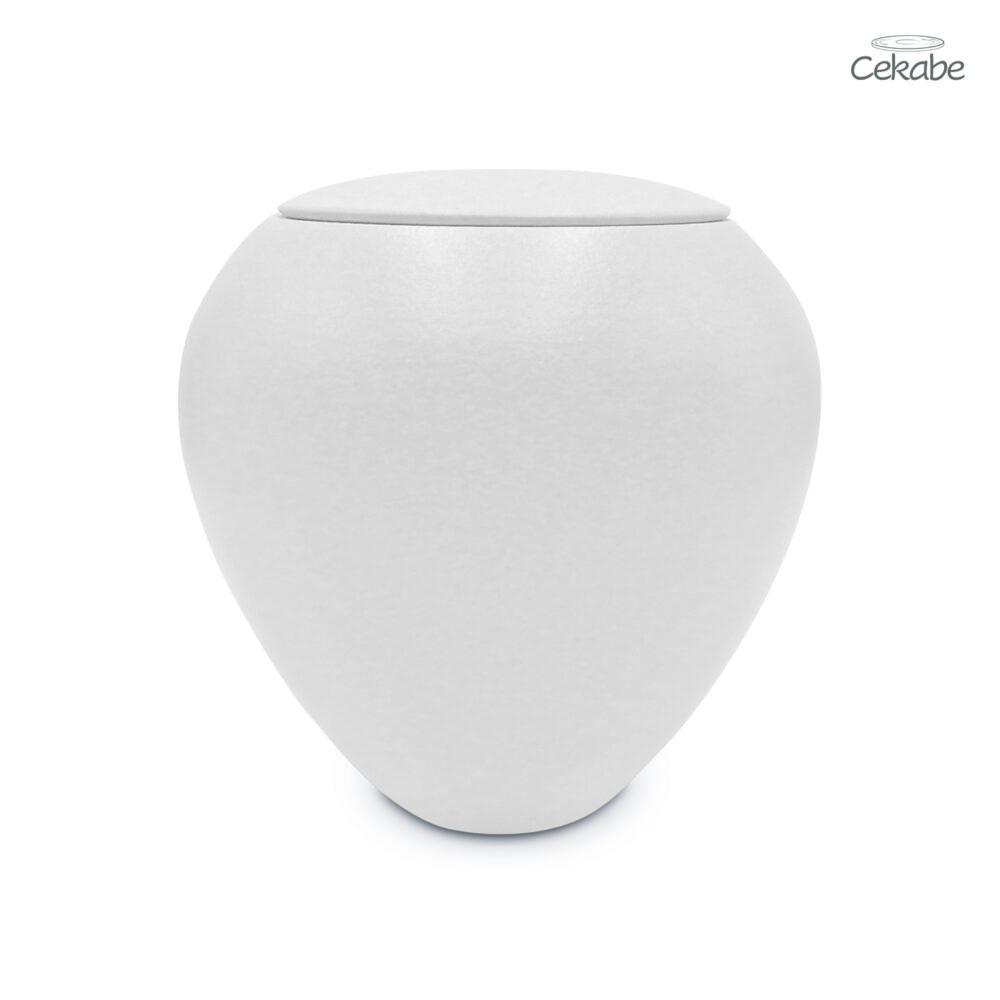 CTU 009 Middel